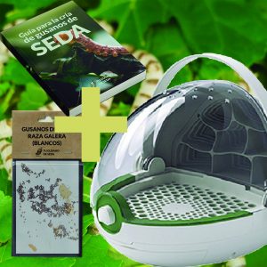 Pack con 30 huevos de gusanos de seda listos para eclosionar