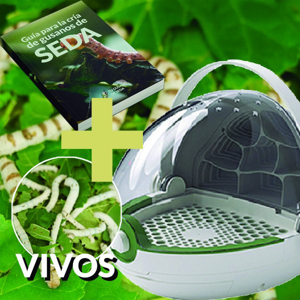 Pack Observatorio - Gusanos Vivos - Guía
