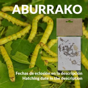 Gusanos de seda en diferentes etapas de crecimiento