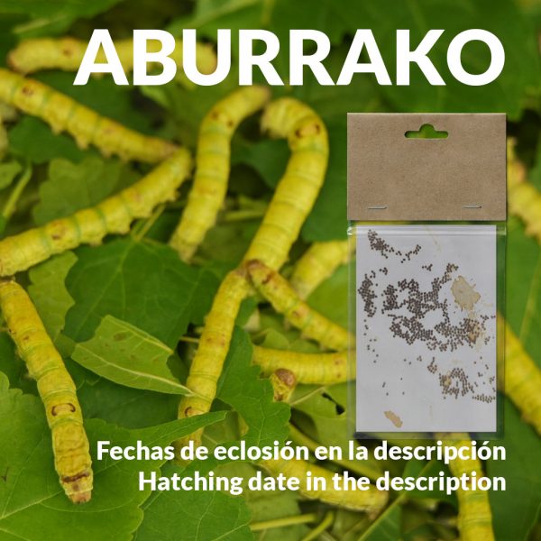 Gusanos de seda en diferentes etapas de crecimiento
