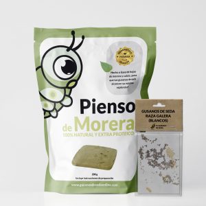Kit educativo con gusanos de seda para niños y colegios