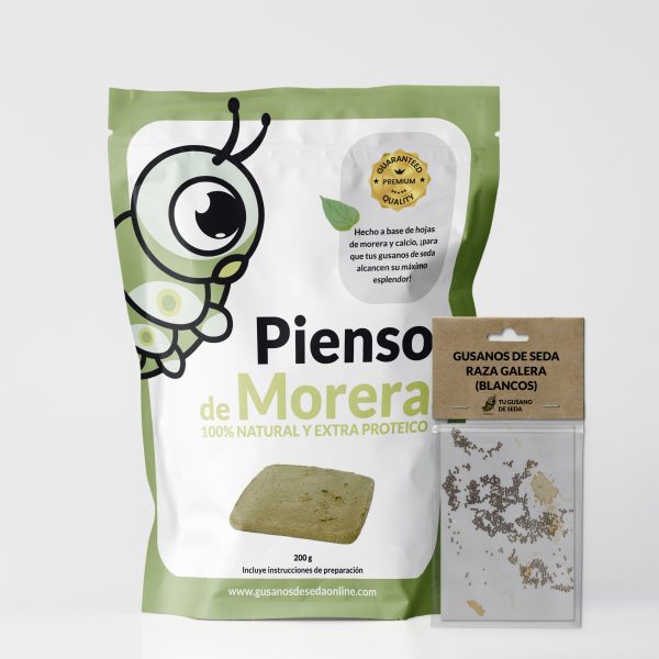 Kit educativo con gusanos de seda para niños y colegios
